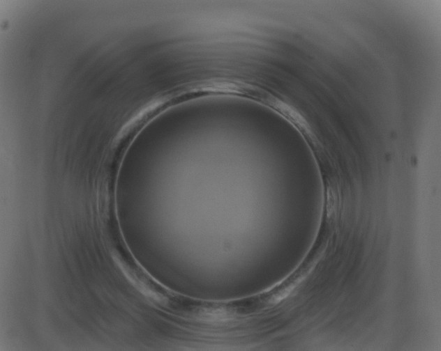 X0000086220349200704051246