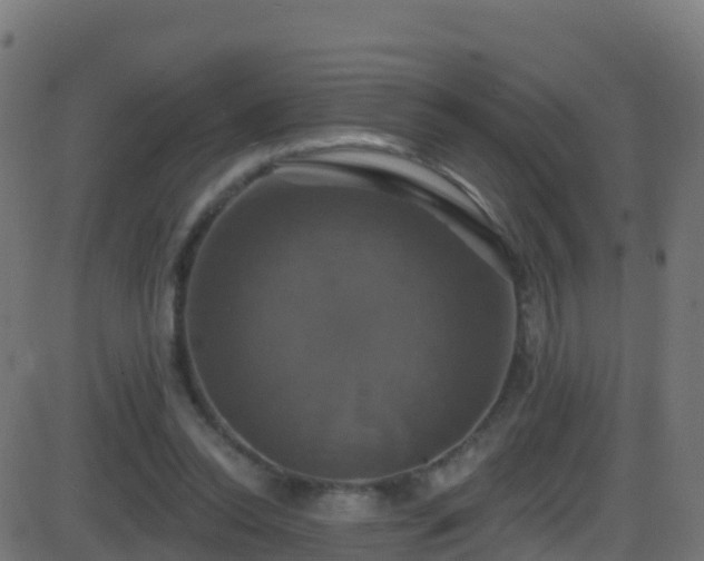 X0000086220350200704051246