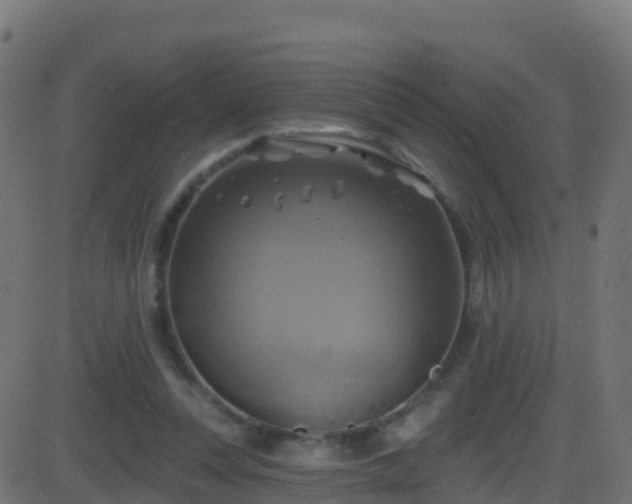 X0000086220351200704051246