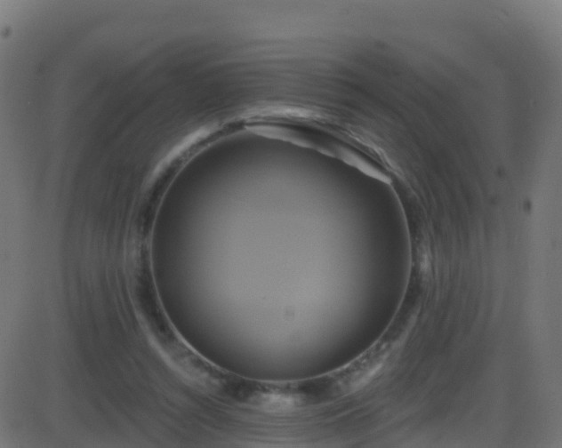 X0000086220352200704051246