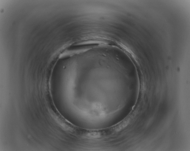 X0000086220353200704051246