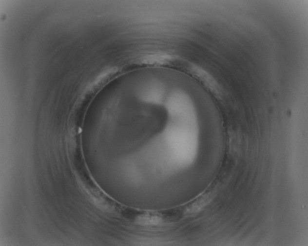 X0000086220354200704051246