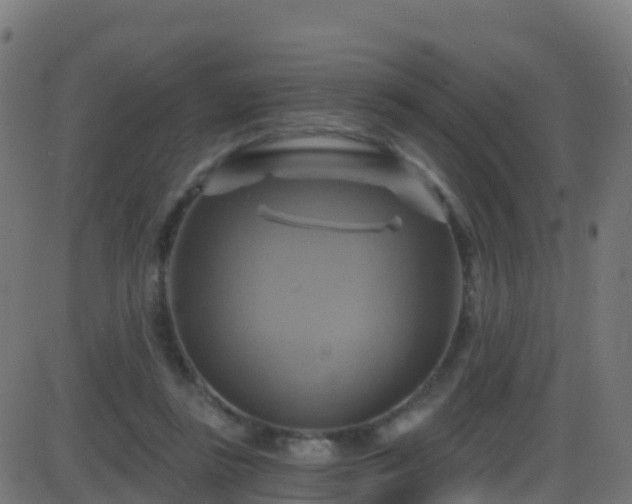 X0000086220355200704051246