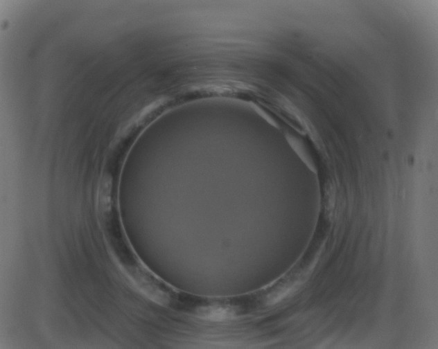 X0000086220356200704051246