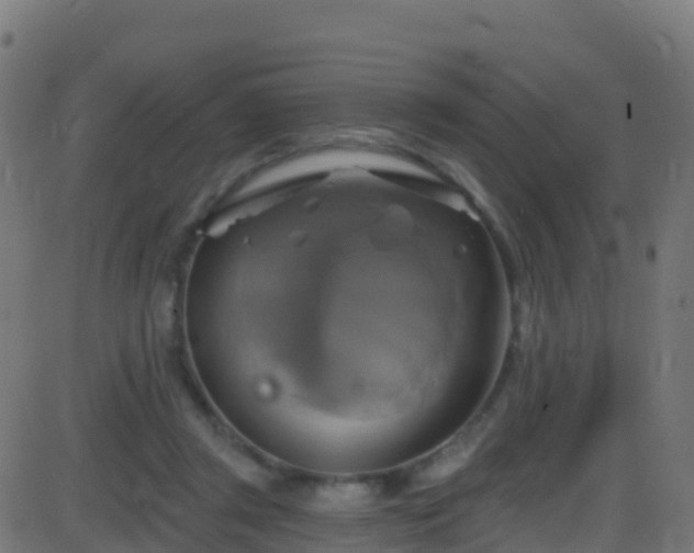 X0000086220357200704051246