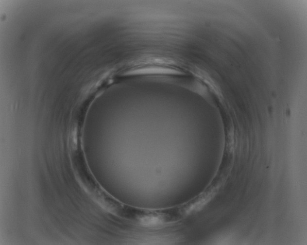 X0000086220358200704051246