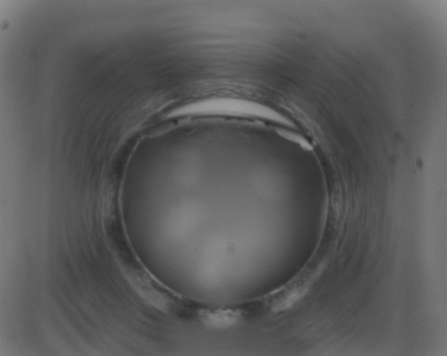 X0000086220359200704051246