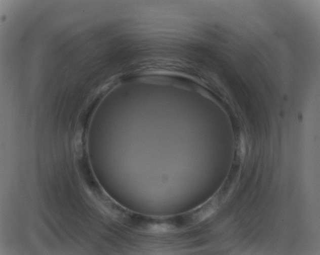 X0000086220360200704051246