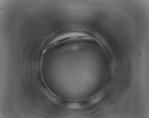 X0000086220361200704051246