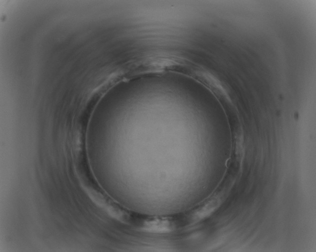 X0000086220362200704051246