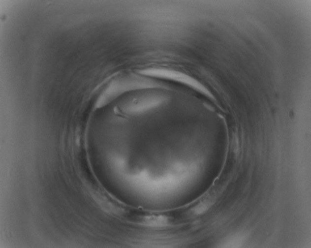 X0000086220363200704051246