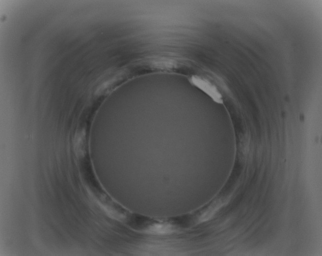 X0000086220364200704051246