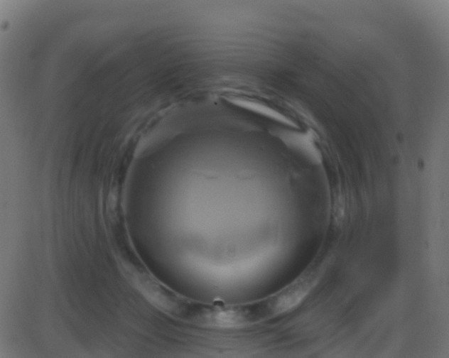 X0000086220365200704051246