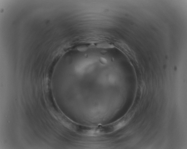 X0000086220366200704051246