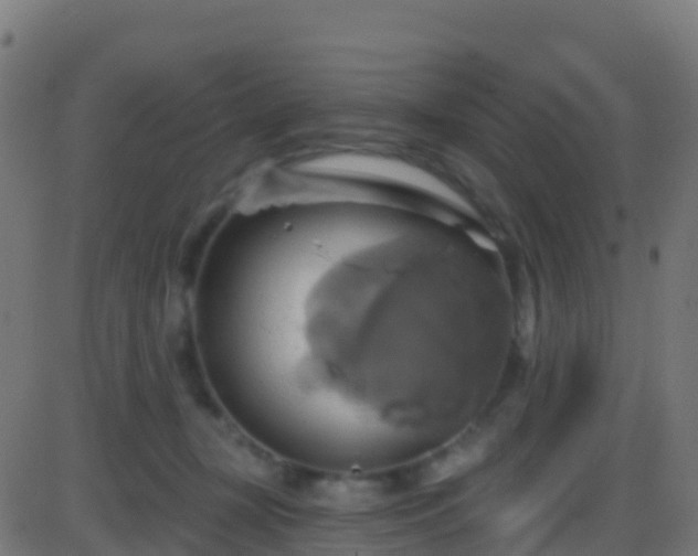 X0000086220367200704051246