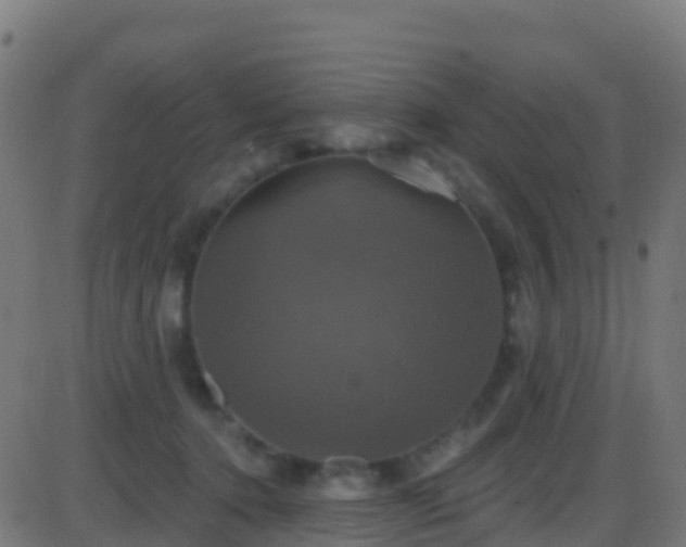 X0000086220368200704051246