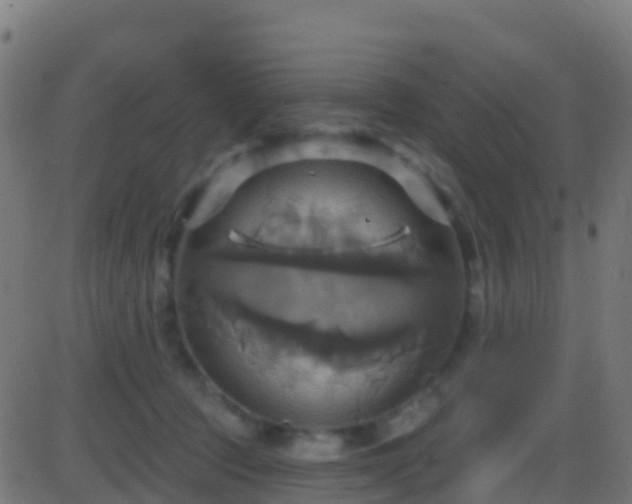 X0000086220369200704051246