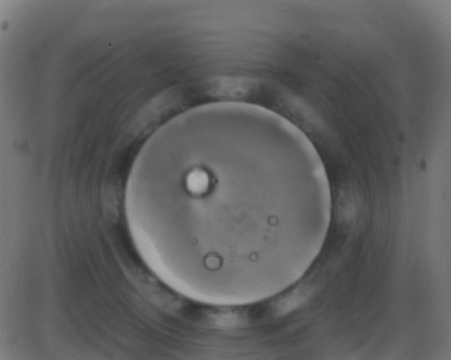 X0000086220370200704051246