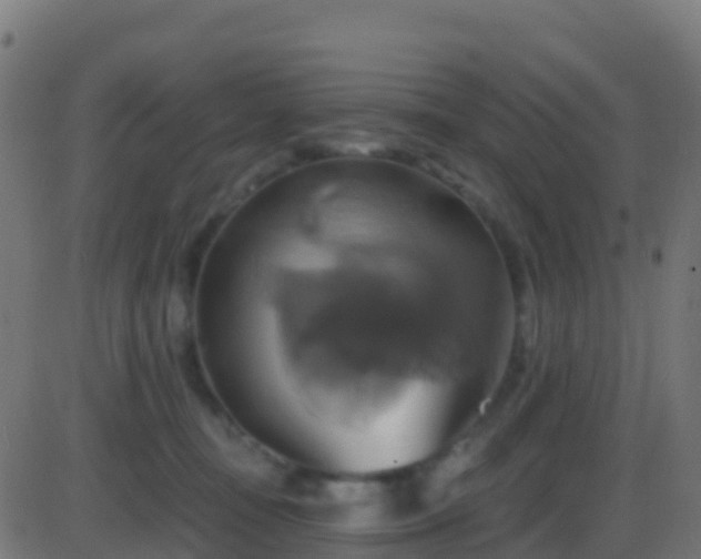 X0000086220371200704051246