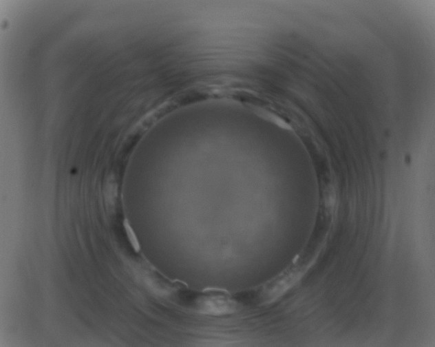 X0000086220372200704051246