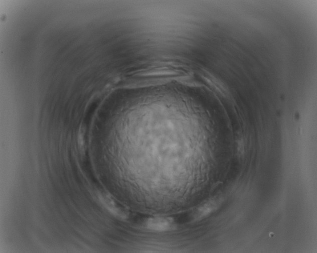 X0000086220373200704051246