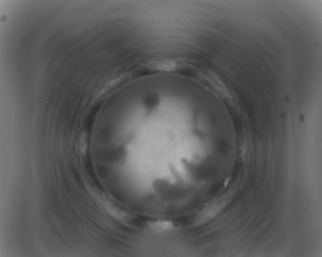 X0000086220374200704051246