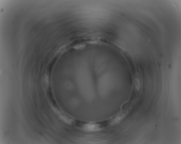 X0000086220375200704051246