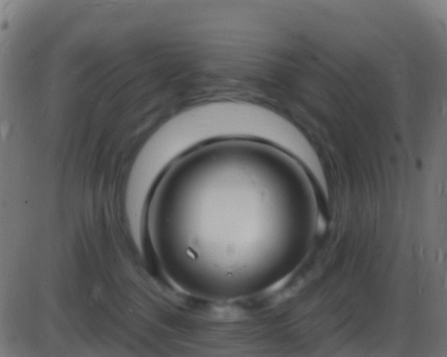 X0000086220376200704051246