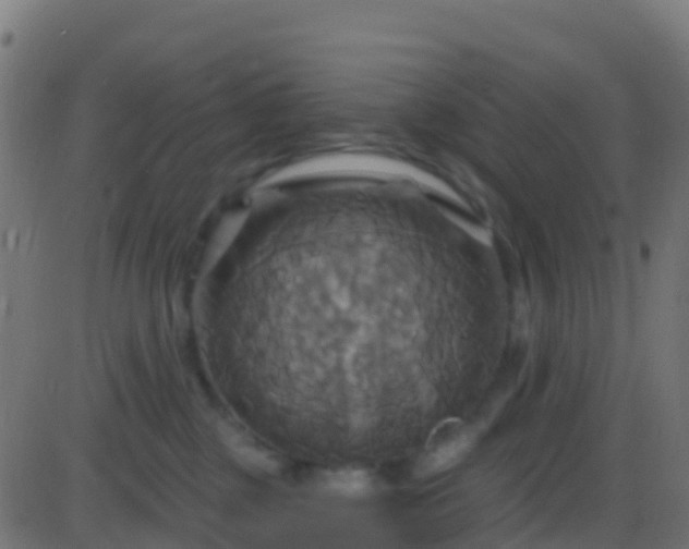 X0000086220377200704051246