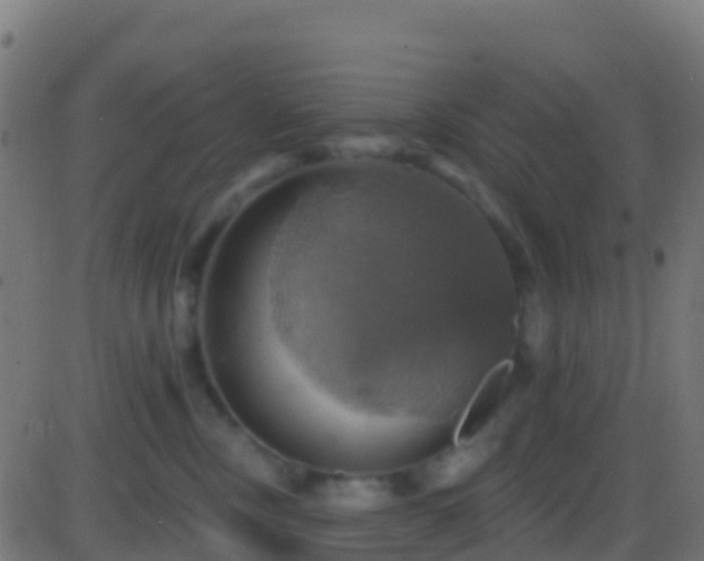 X0000086220378200704051246