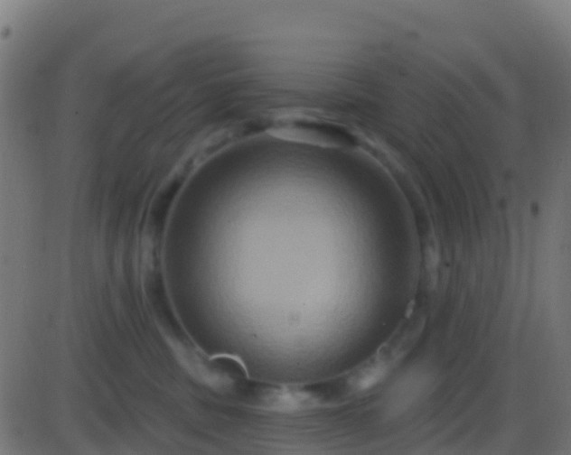 X0000086220379200704051246