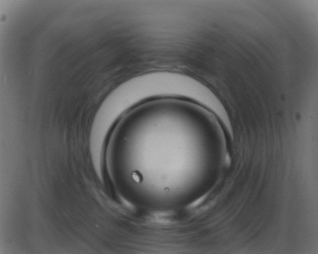 X0000086220380200704051246