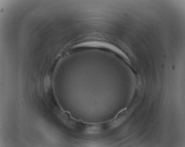 X0000086220382200704051246