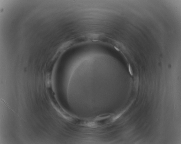 X0000086220383200704051246