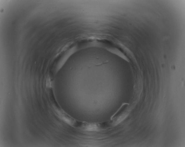 X0000086220384200704051246