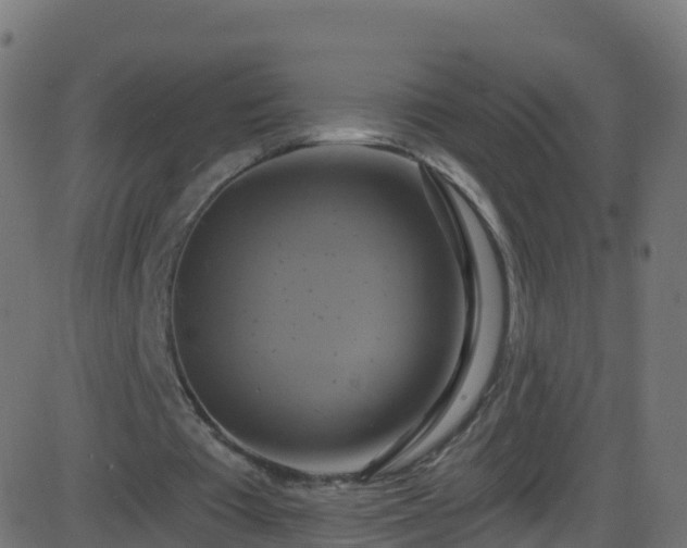 X0000086220385200704051246