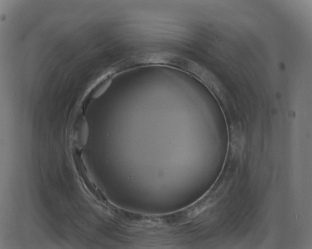 X0000086220386200704051246