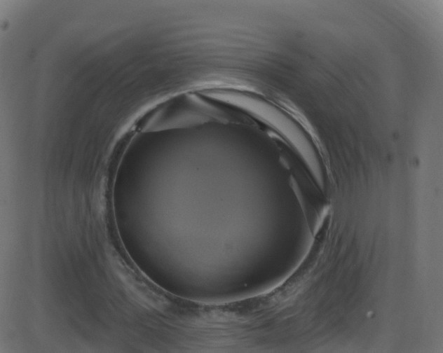 X0000086220387200704051246