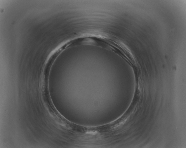 X0000086220388200704051246