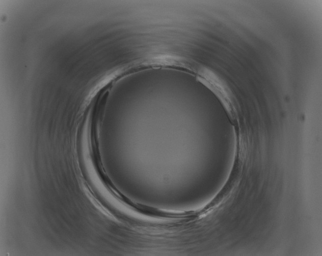 X0000086220389200704051246