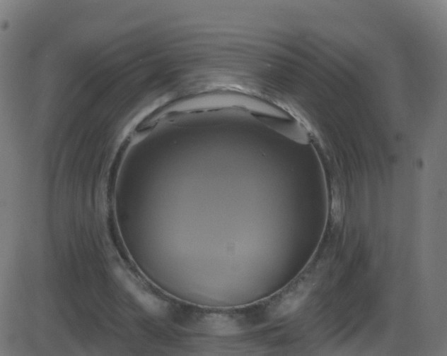 X0000086220390200704051246