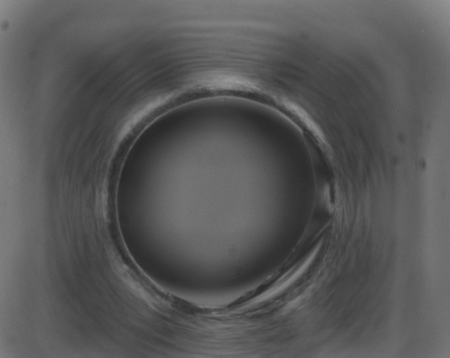 X0000086220391200704051246