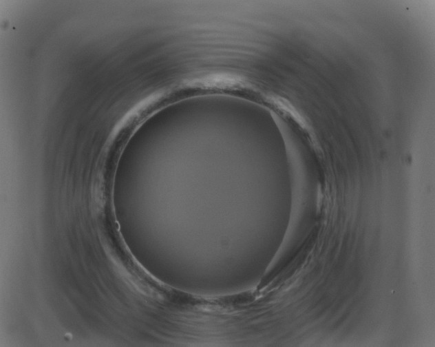 X0000086220392200704051246