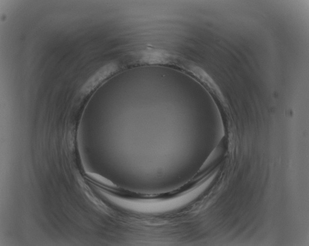 X0000086220393200704051246