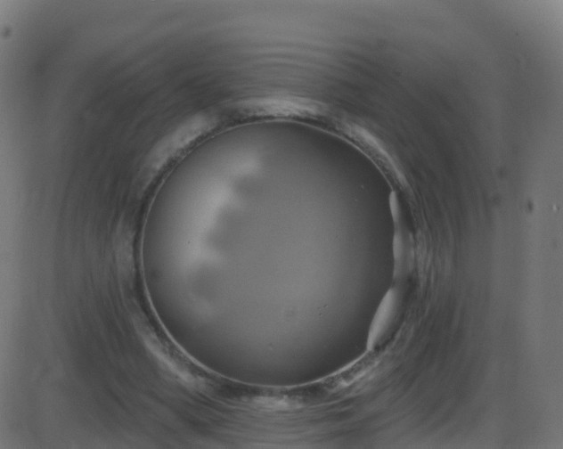 X0000086220394200704051246