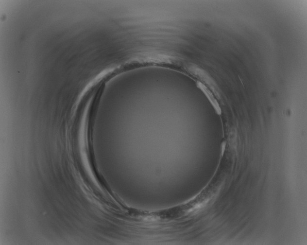 X0000086220395200704051246