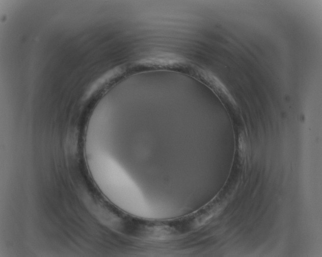 X0000086220396200704051245