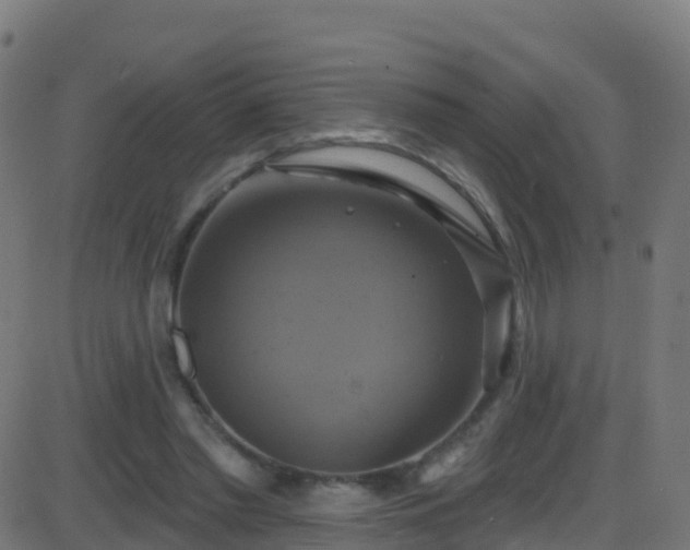 X0000086220397200704051245