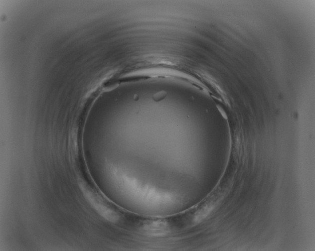 X0000086220398200704051245