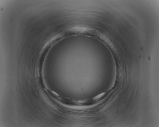 X0000086220399200704051245